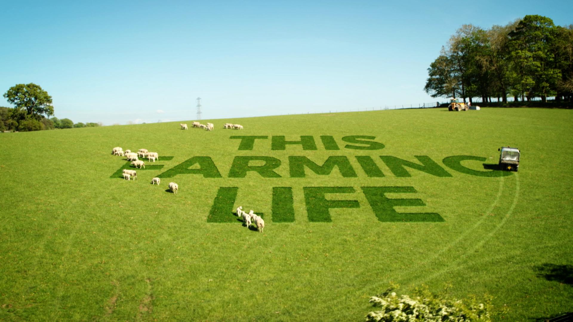 This Farming Life Series 6