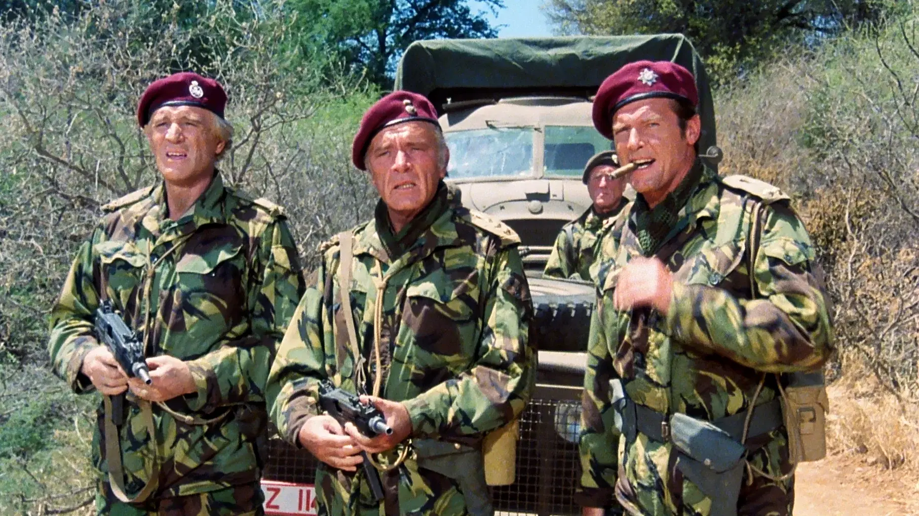 The Wild Geese